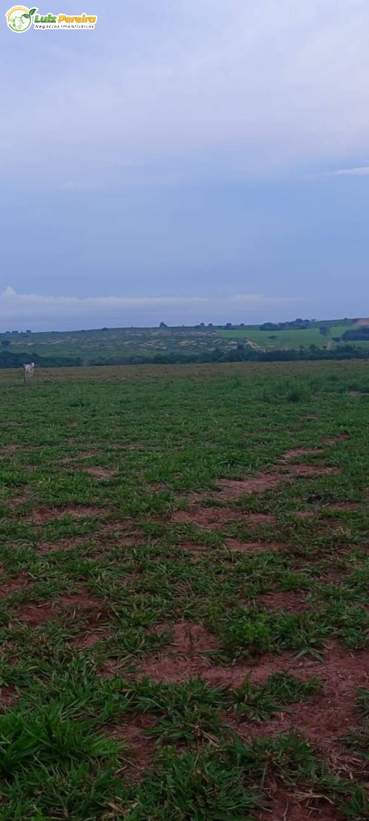 Fazenda à venda, 33880000m² - Foto 4