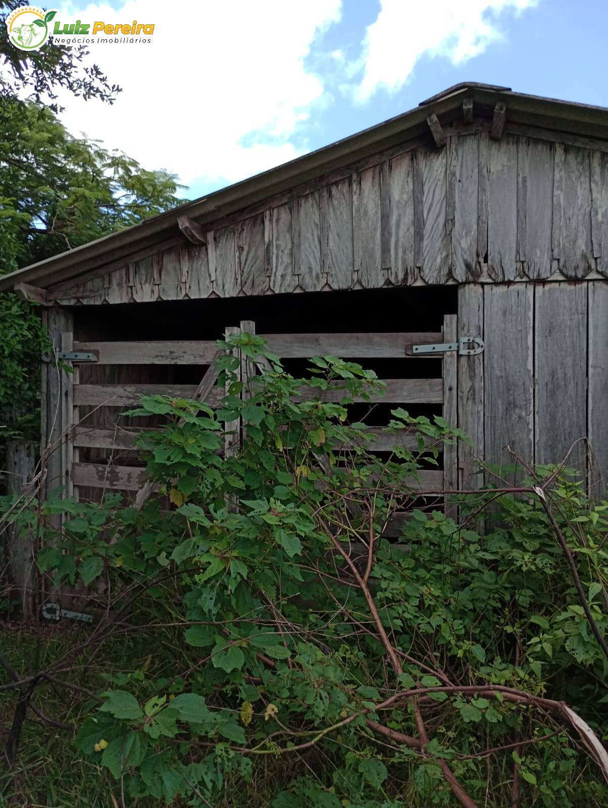 Fazenda à venda, 320m² - Foto 10