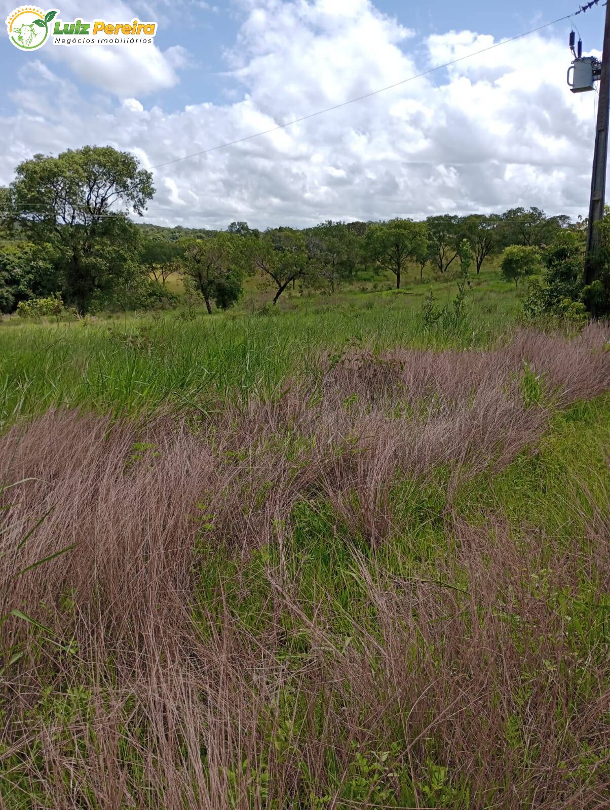 Fazenda à venda, 320m² - Foto 2