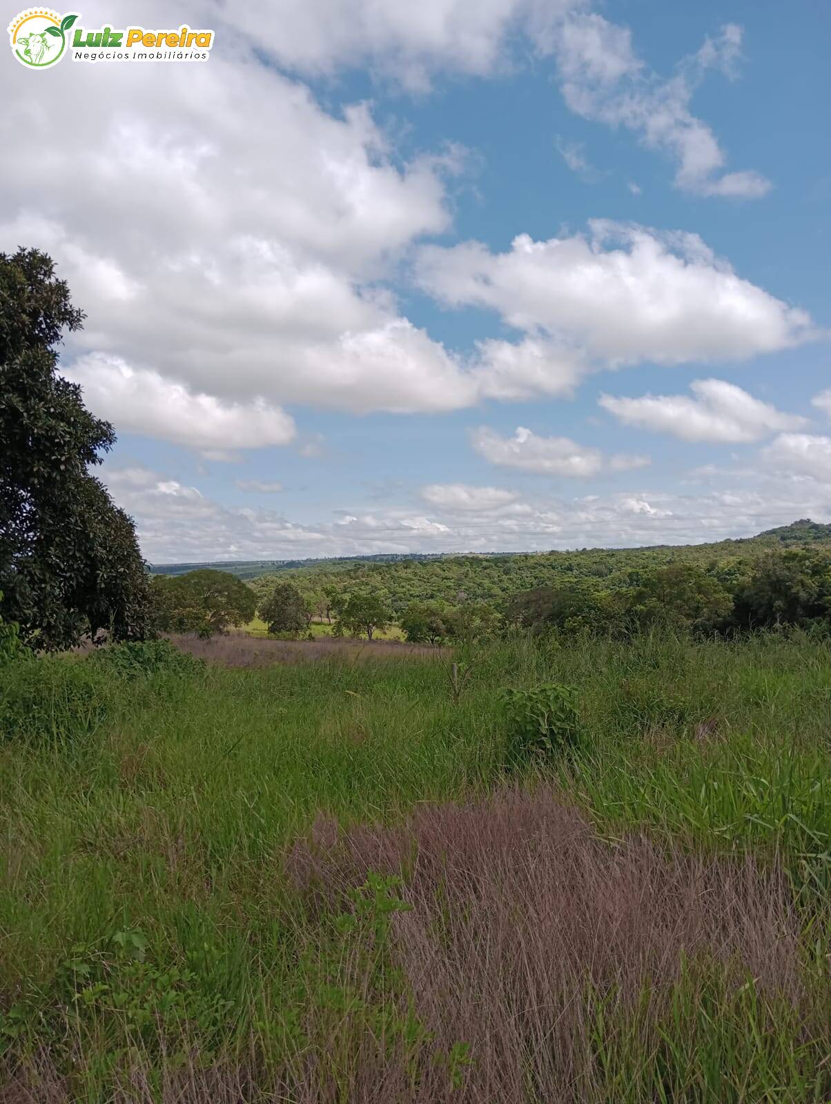 Fazenda à venda, 320m² - Foto 1