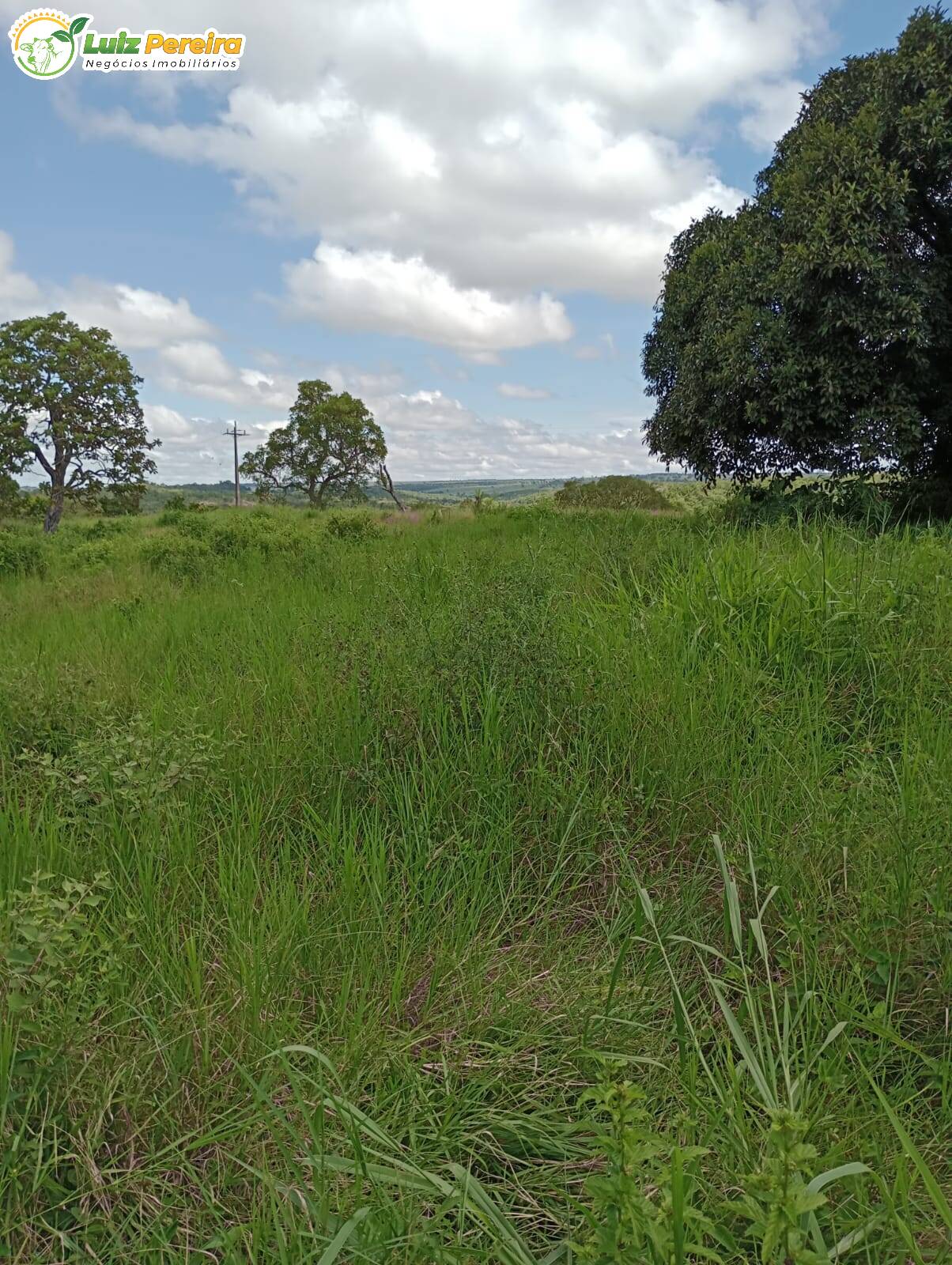 Fazenda à venda, 320m² - Foto 3