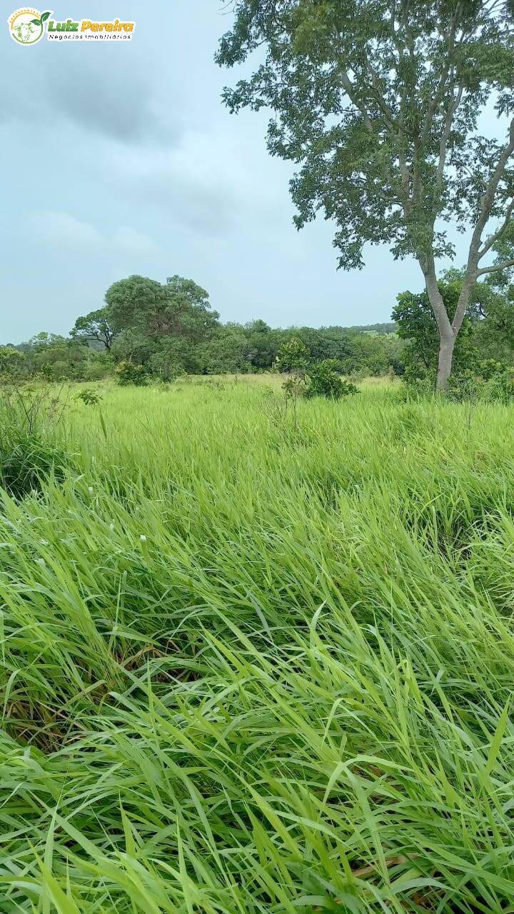 Fazenda à venda, 320m² - Foto 6