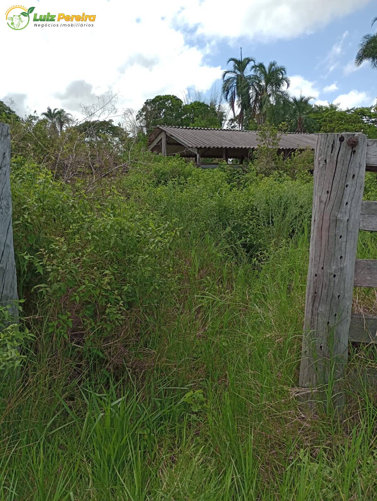 Fazenda à venda, 320m² - Foto 8