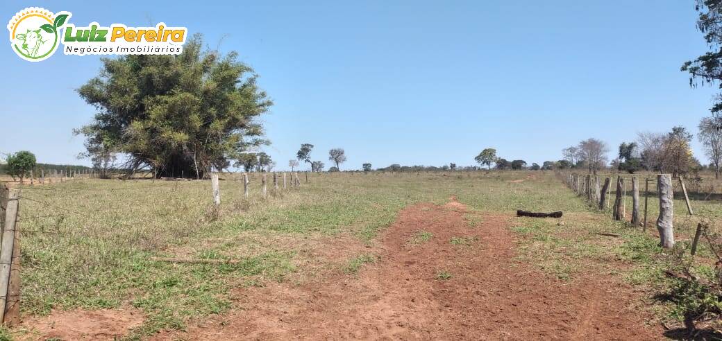 Terreno à venda, 3250000m² - Foto 10