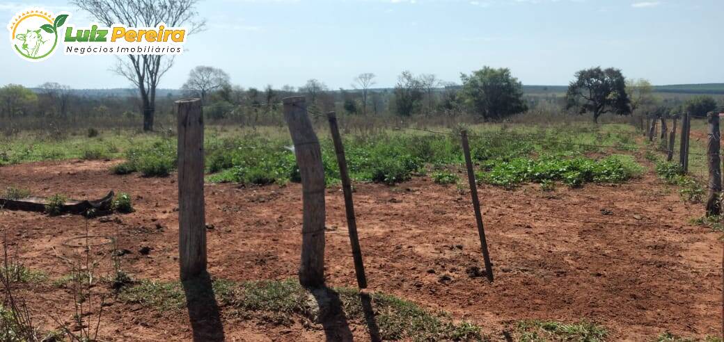 Terreno à venda, 3250000m² - Foto 17