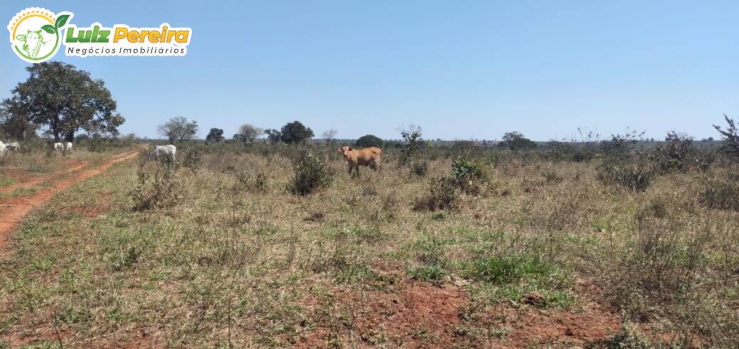 Terreno à venda, 3250000m² - Foto 5