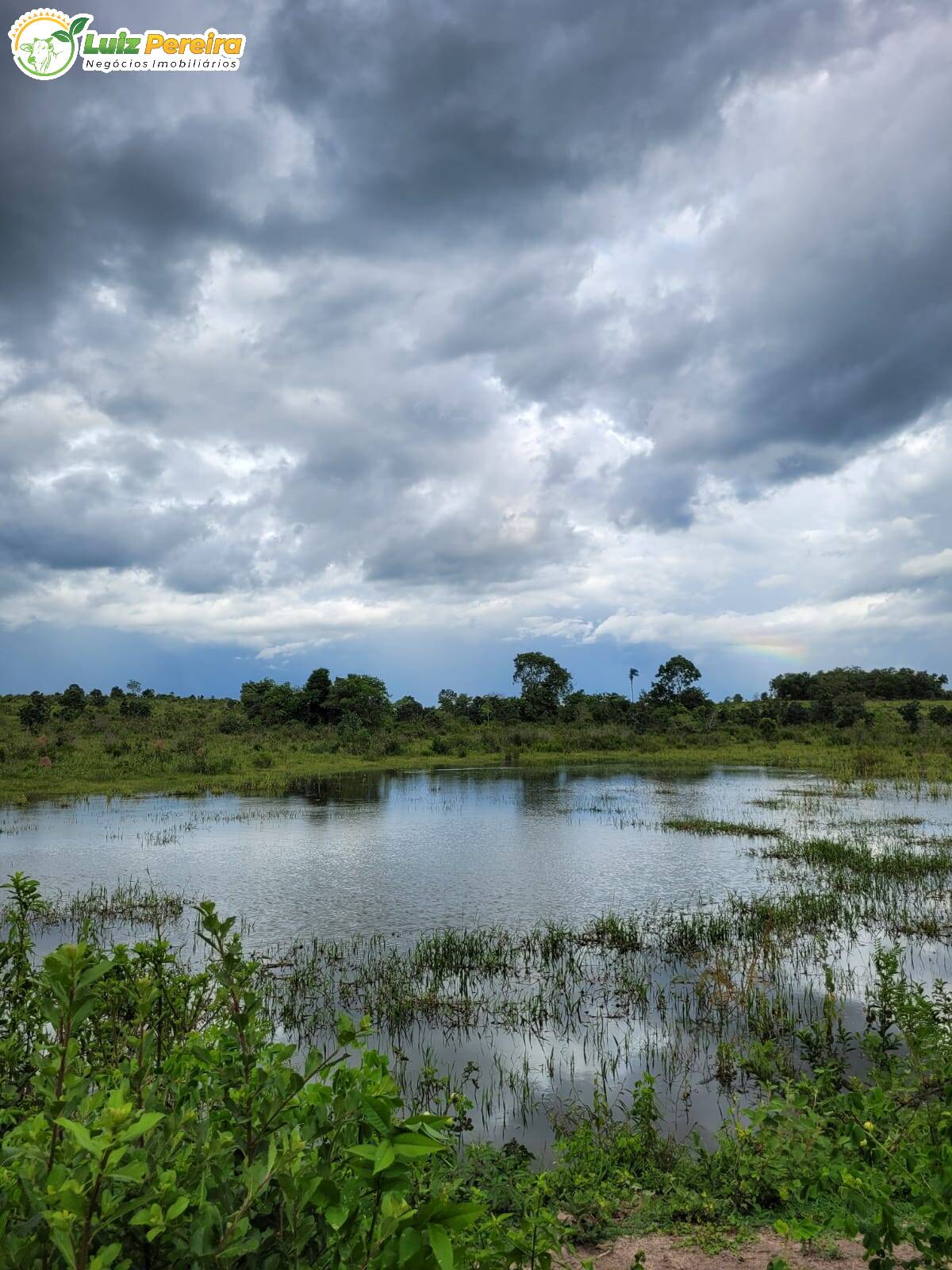 Fazenda à venda, 7490000m² - Foto 5