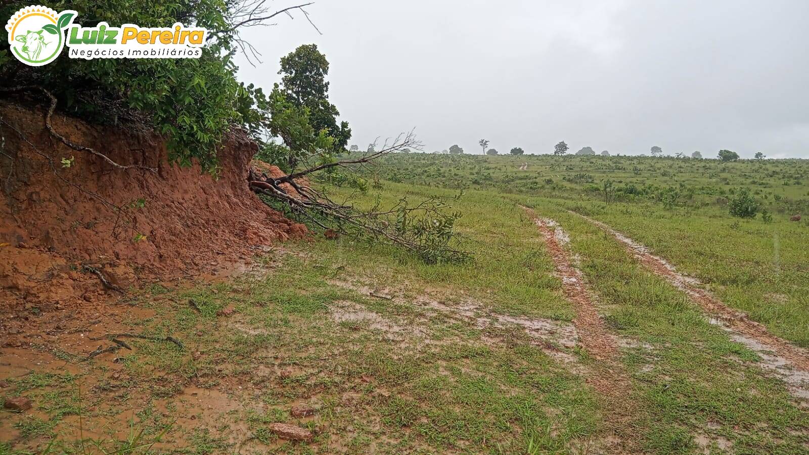 Fazenda à venda, 7490000m² - Foto 8