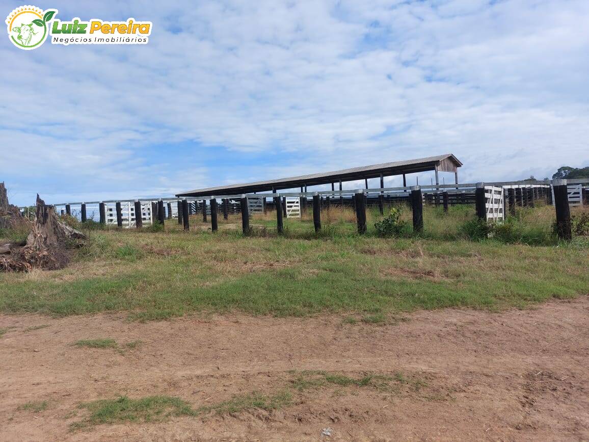 Fazenda à venda, 29960000m² - Foto 7