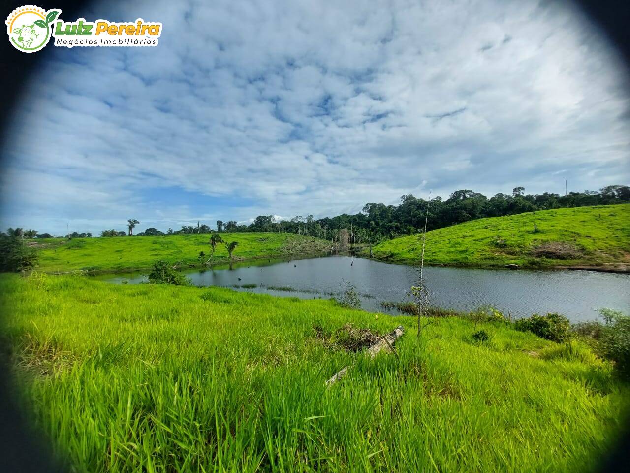 Fazenda à venda, 29960000m² - Foto 6