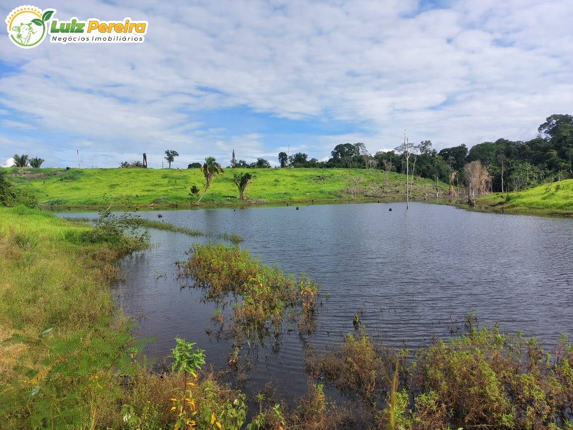 Fazenda à venda, 29960000m² - Foto 1