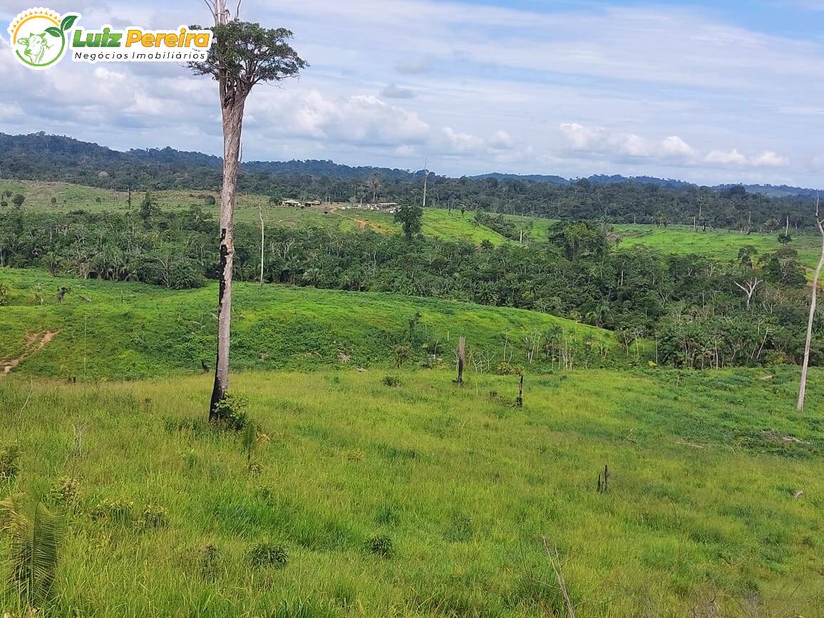 Fazenda à venda, 29960000m² - Foto 5