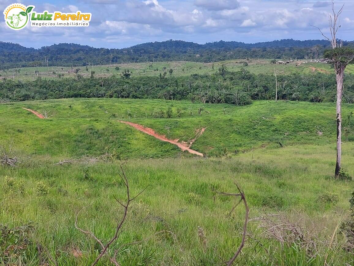 Fazenda à venda, 29960000m² - Foto 2