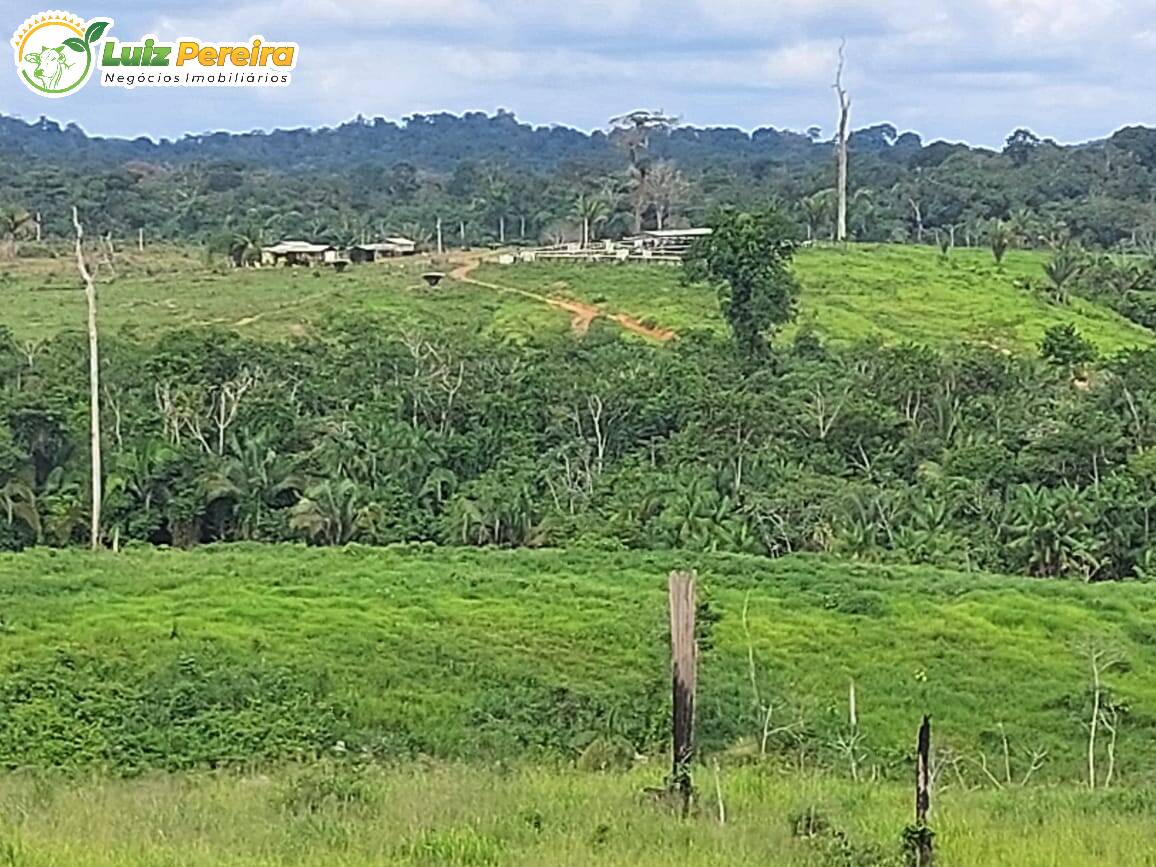 Fazenda à venda, 29960000m² - Foto 3