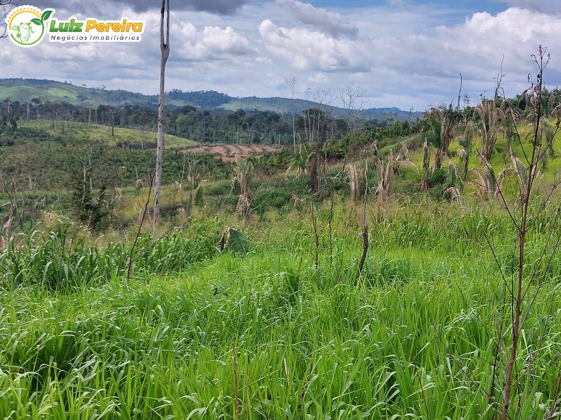 Fazenda à venda, 29960000m² - Foto 4