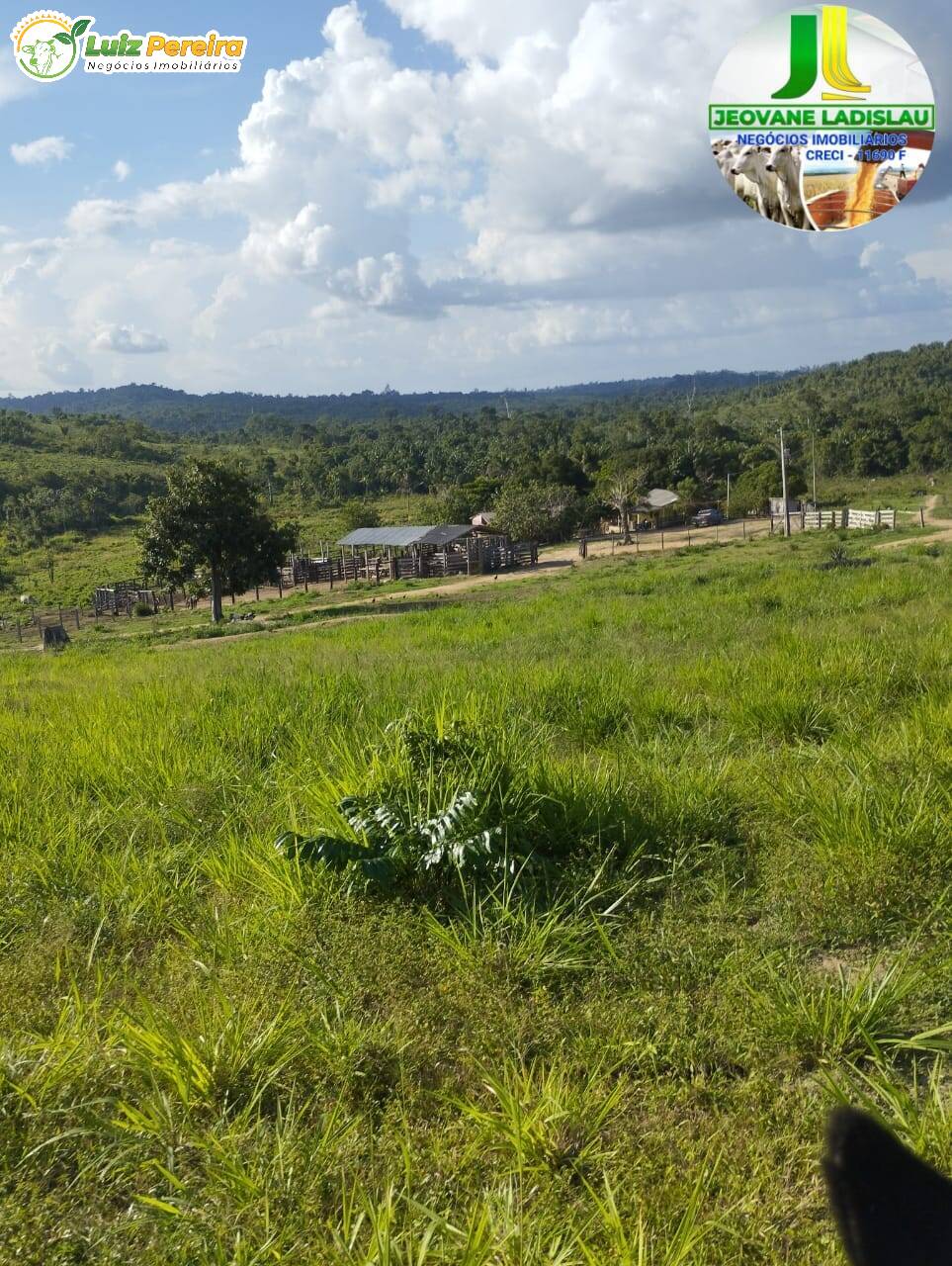 Fazenda à venda, 7744000m² - Foto 1