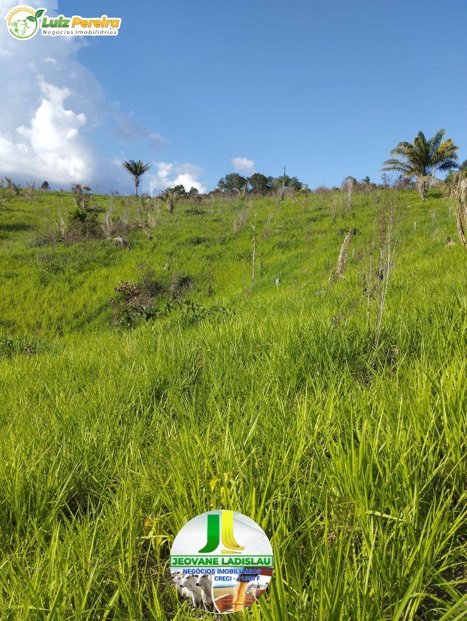 Fazenda à venda, 7744000m² - Foto 5