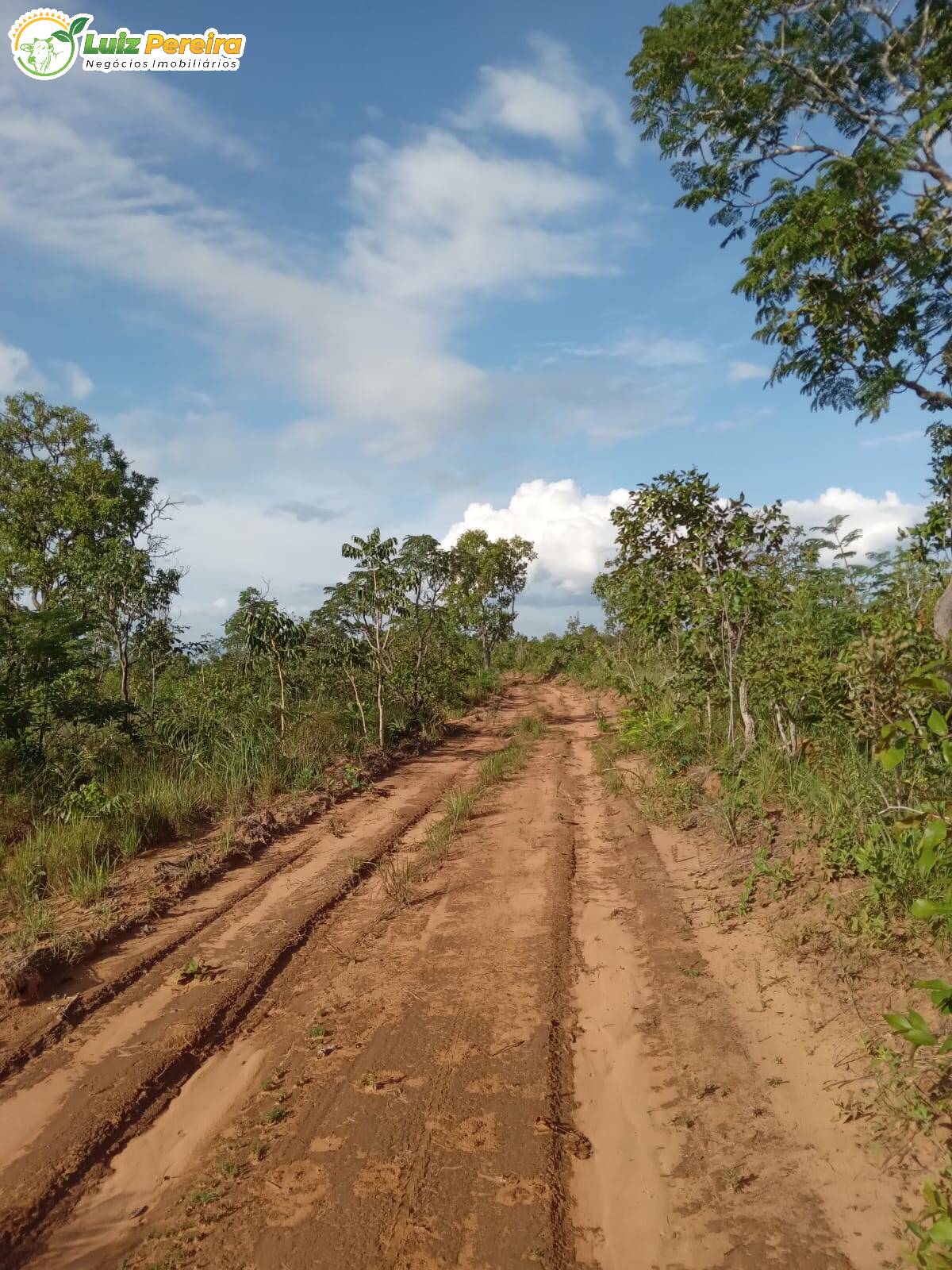 Fazenda à venda, 968m² - Foto 12