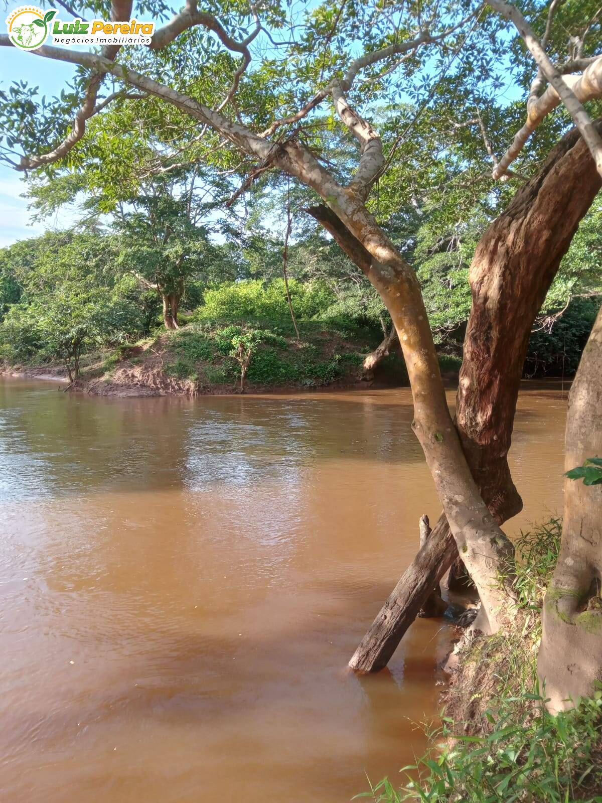 Fazenda à venda, 968m² - Foto 8