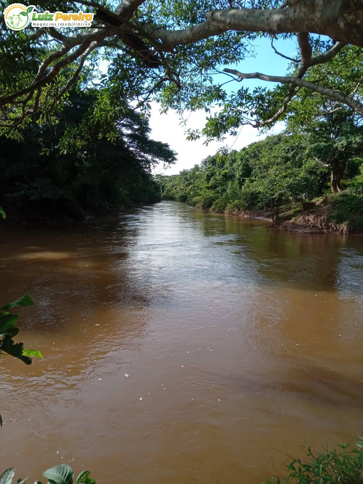 Fazenda à venda, 968m² - Foto 9