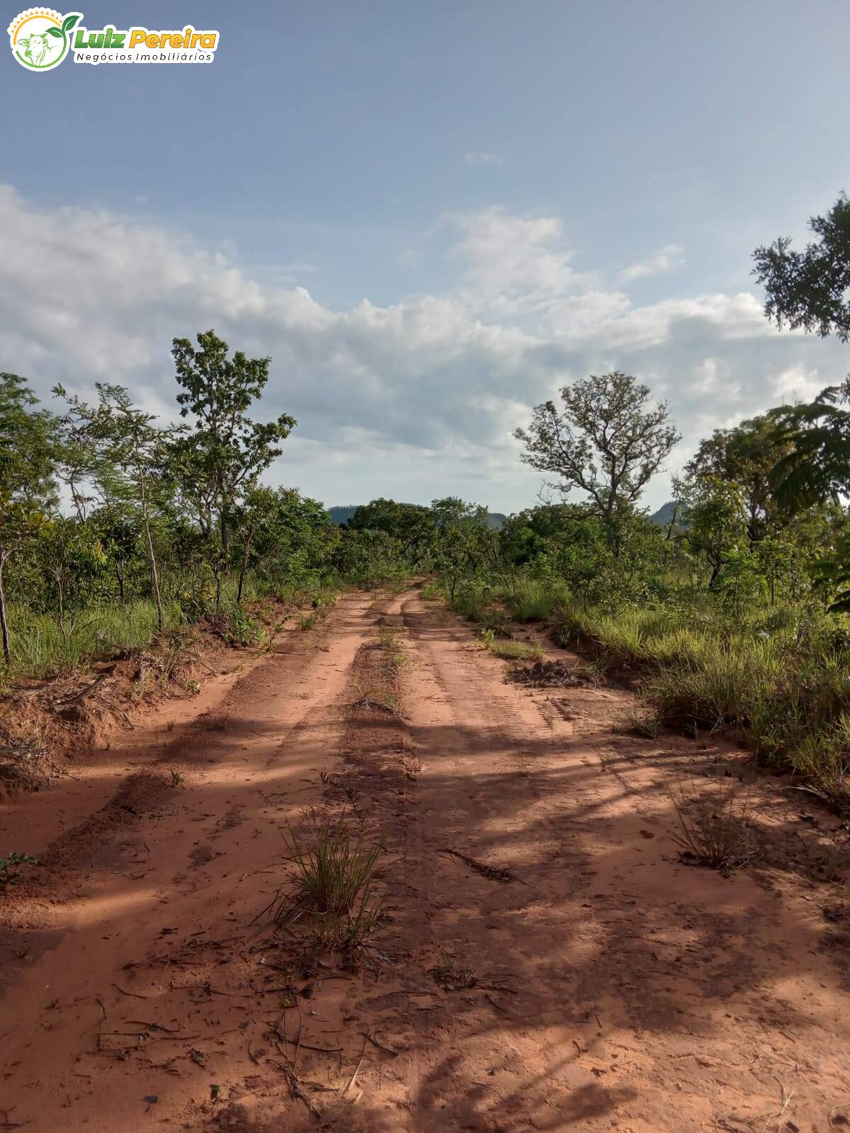 Fazenda à venda, 968m² - Foto 14