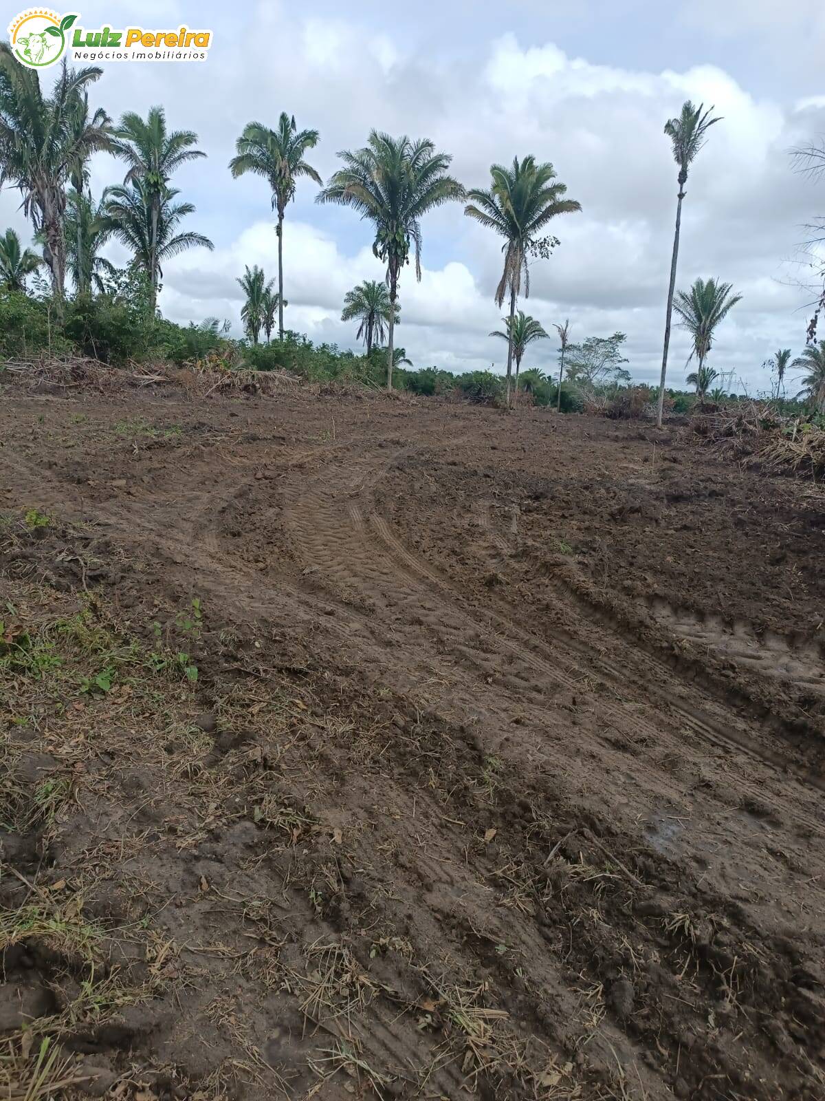 Fazenda à venda, 24200000m² - Foto 8