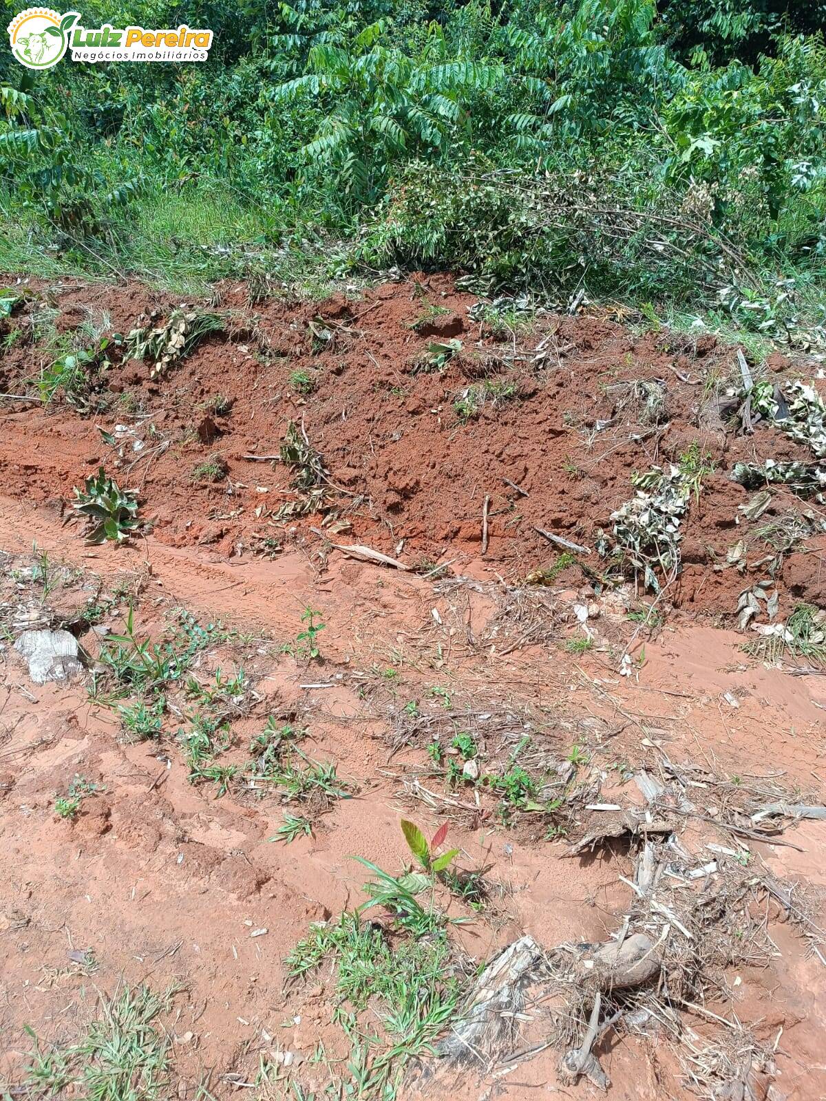 Fazenda à venda, 24200000m² - Foto 15