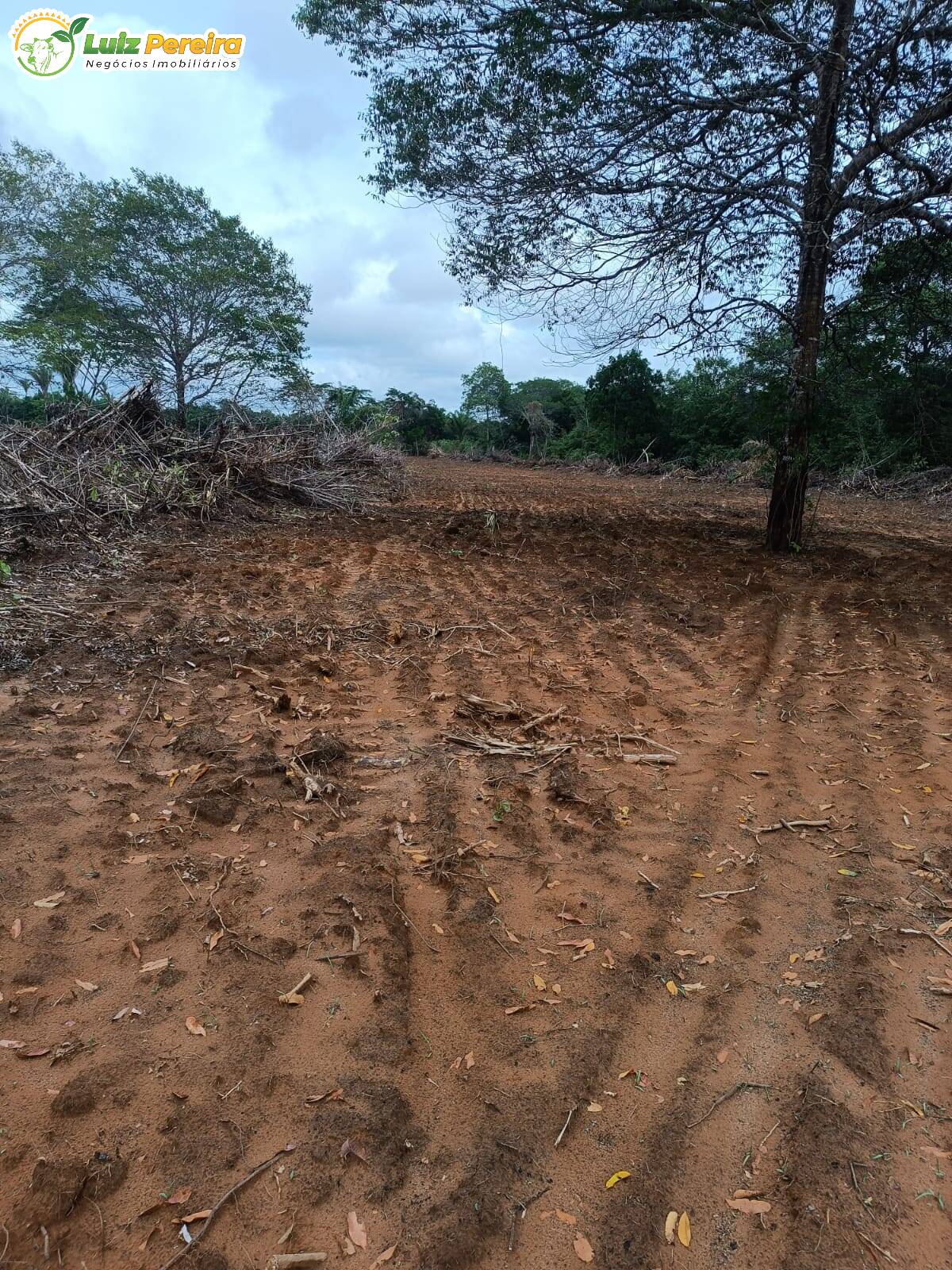 Fazenda à venda, 24200000m² - Foto 12