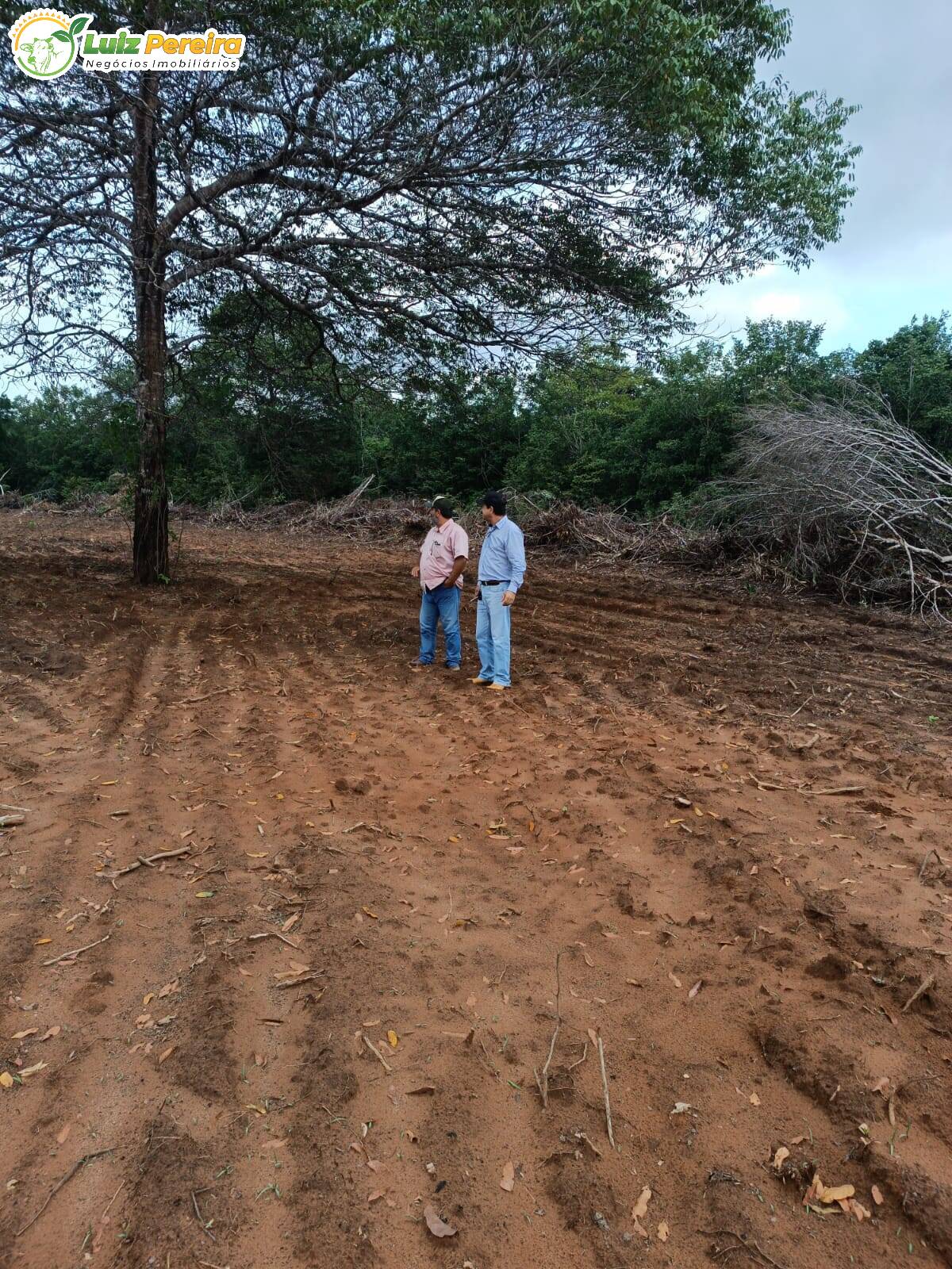 Fazenda à venda, 24200000m² - Foto 11