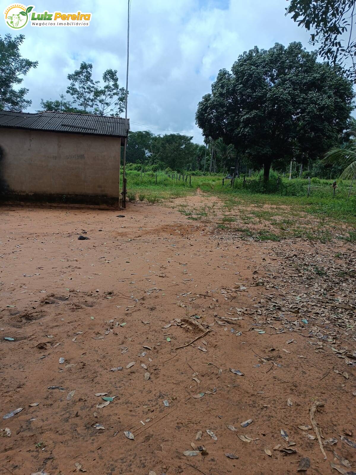 Fazenda à venda, 24200000m² - Foto 9