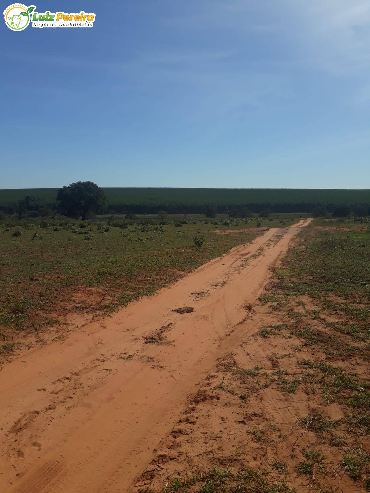 Fazenda à venda, 2000000m² - Foto 22