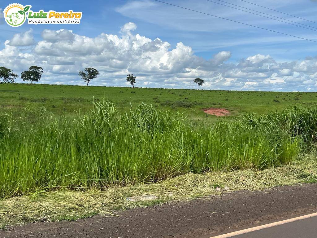 Fazenda à venda, 1000000m² - Foto 4