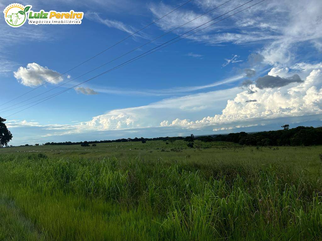 Fazenda à venda, 1000000m² - Foto 2