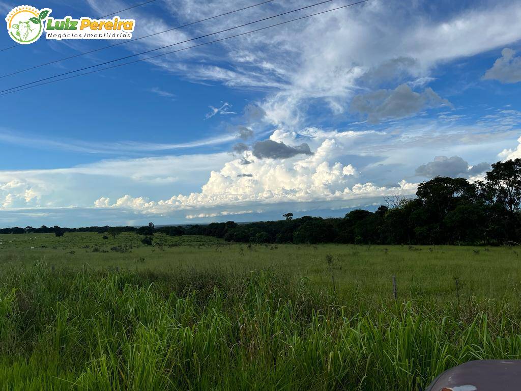 Fazenda à venda, 1000000m² - Foto 1