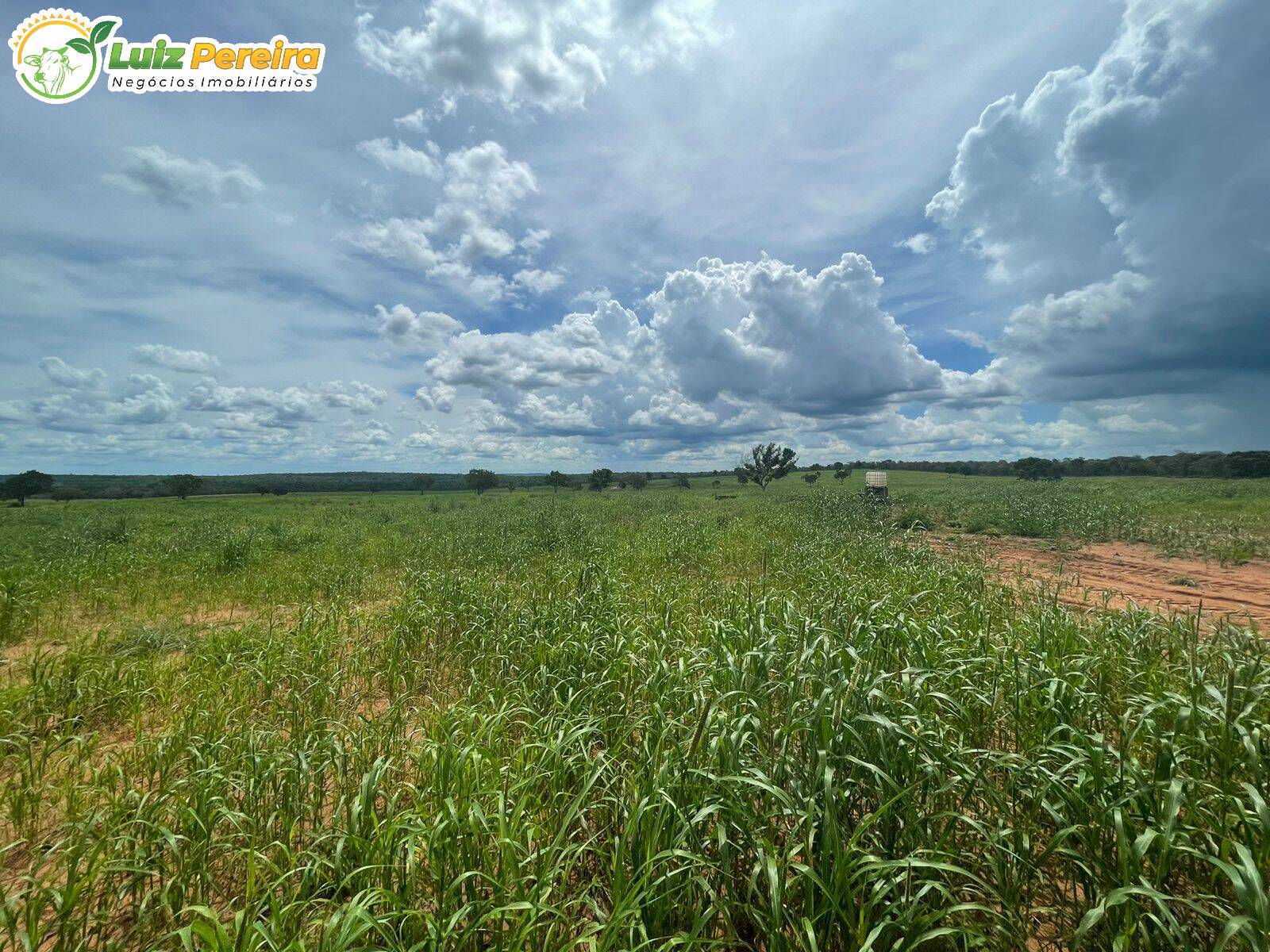 Fazenda à venda, 654m² - Foto 3