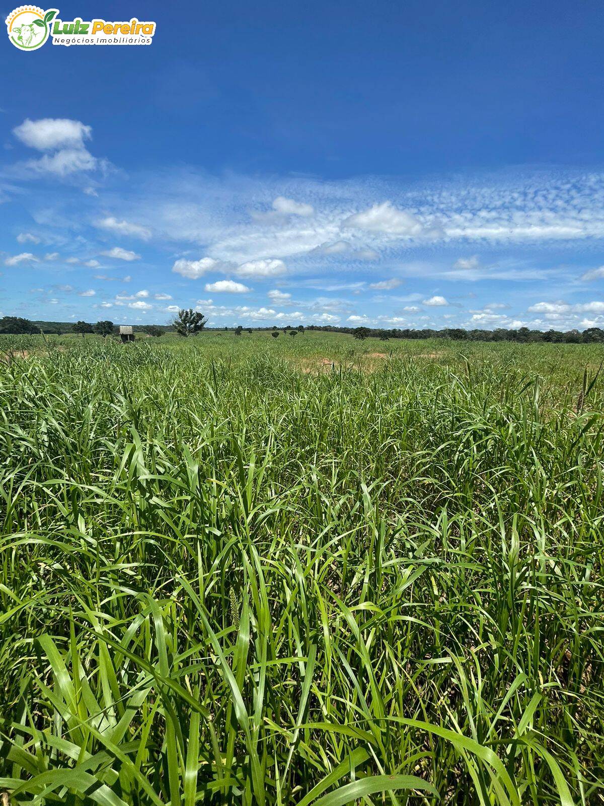 Fazenda à venda, 654m² - Foto 1