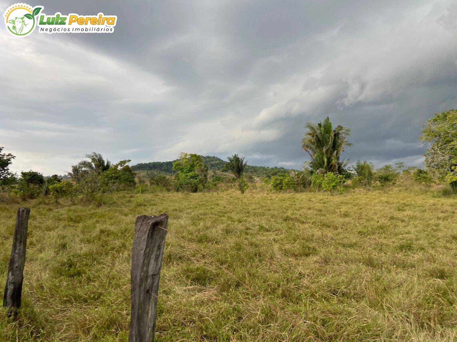 Fazenda à venda, 8230000m² - Foto 6