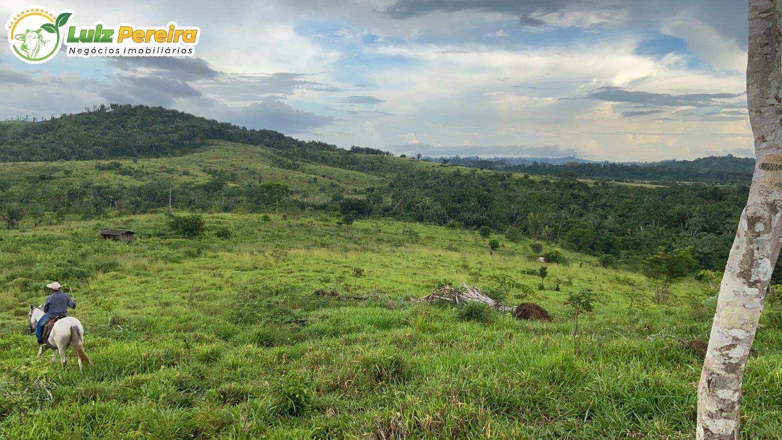 Fazenda à venda, 8230000m² - Foto 1