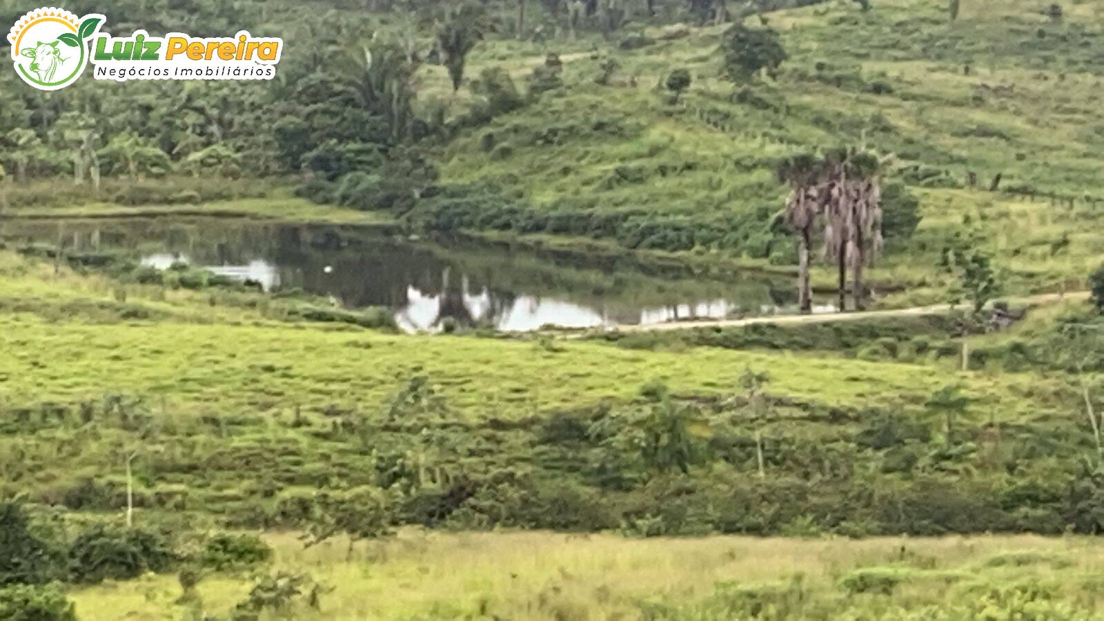 Fazenda à venda, 8230000m² - Foto 3