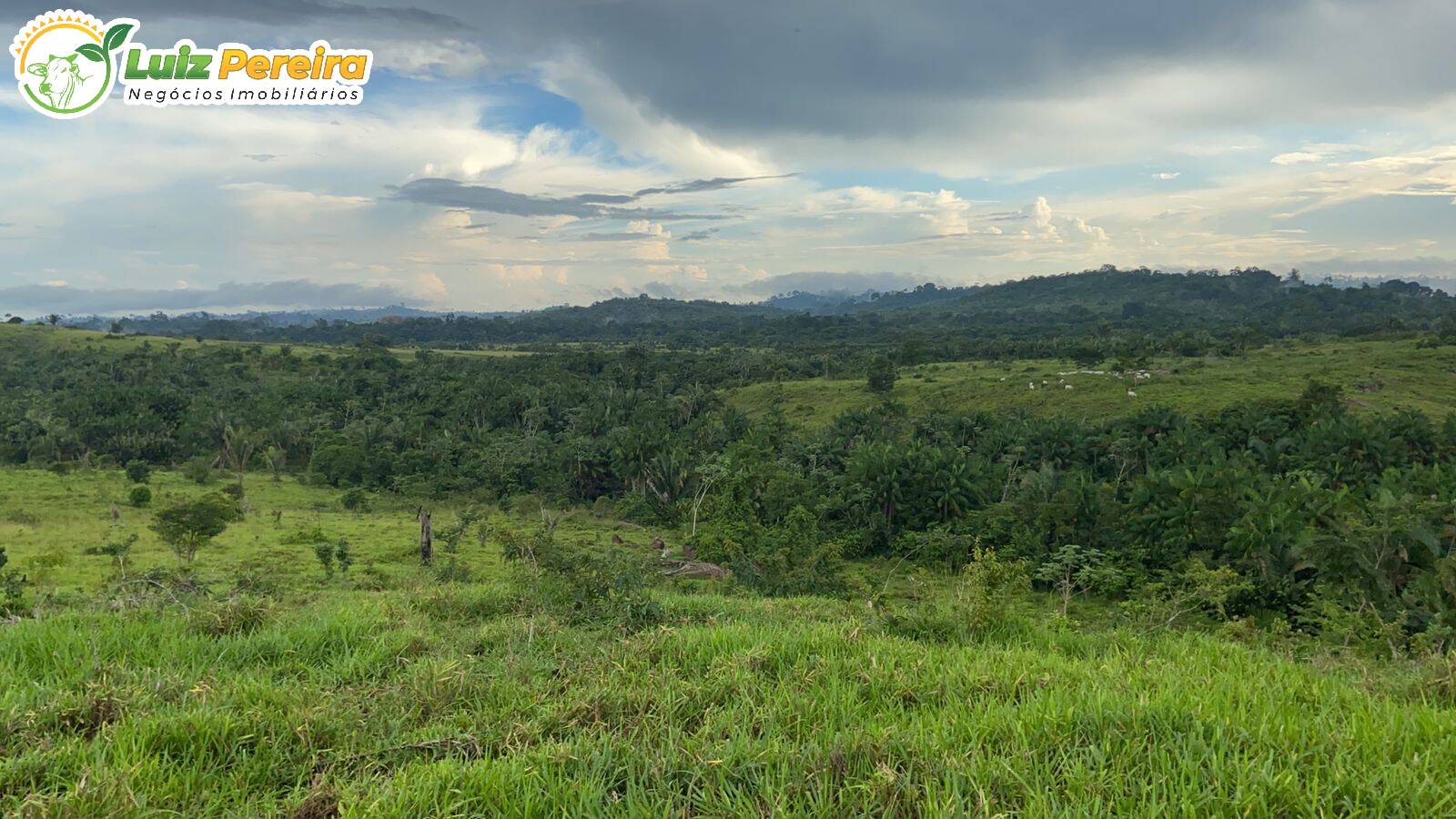 Fazenda à venda, 8230000m² - Foto 2