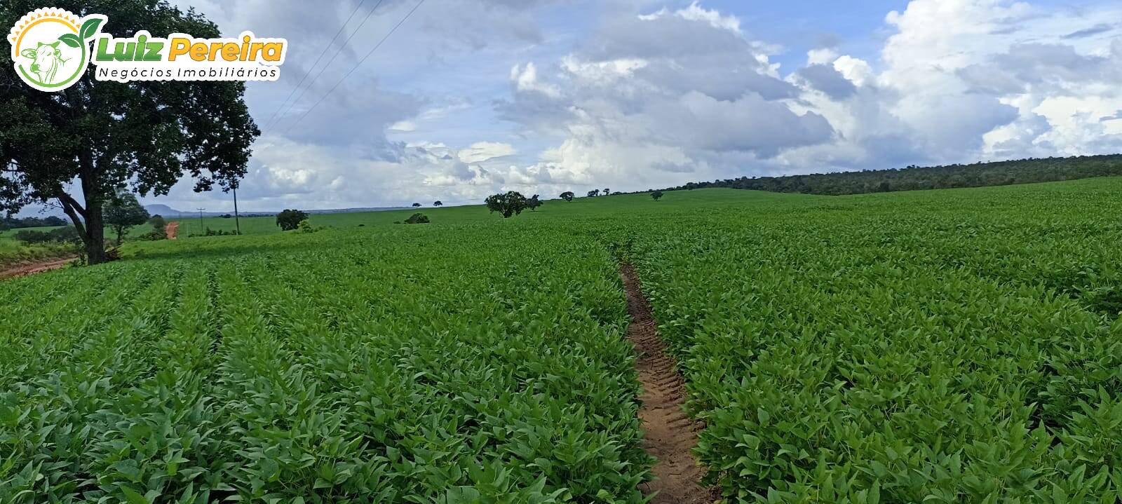 Terreno à venda, 7540000m² - Foto 5