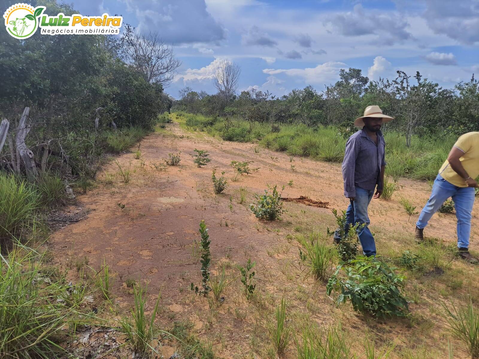 Fazenda à venda, 7986000m² - Foto 6