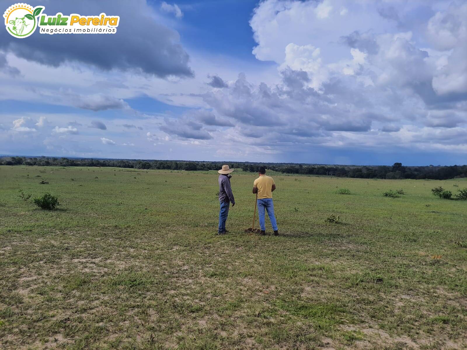 Fazenda à venda, 7986000m² - Foto 7