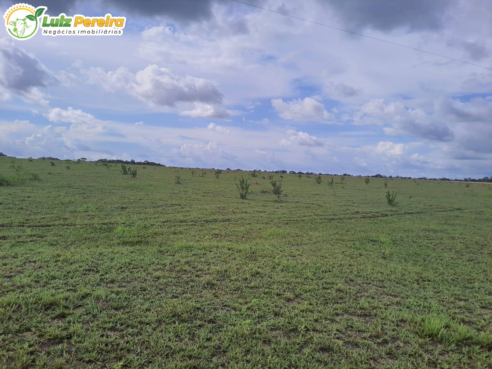 Fazenda-Sítio-Chácara, 799 hectares - Foto 4