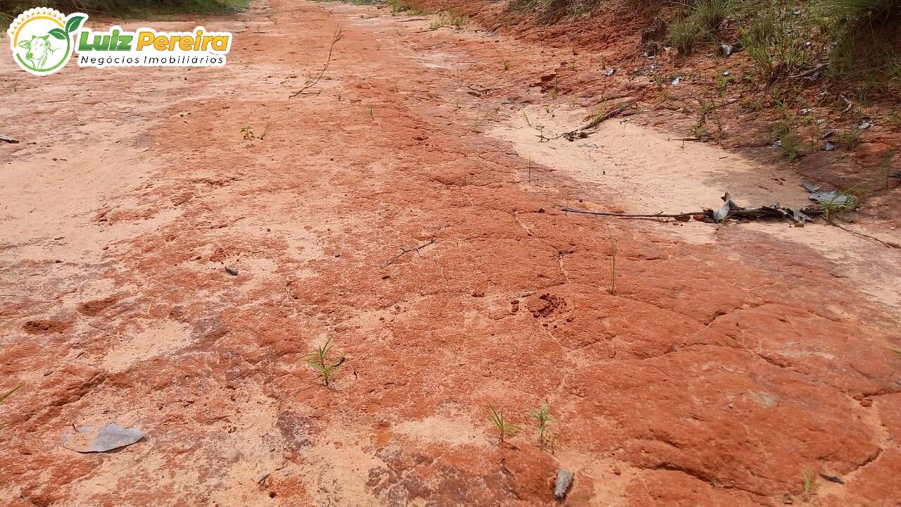 Fazenda à venda, 5440000m² - Foto 5