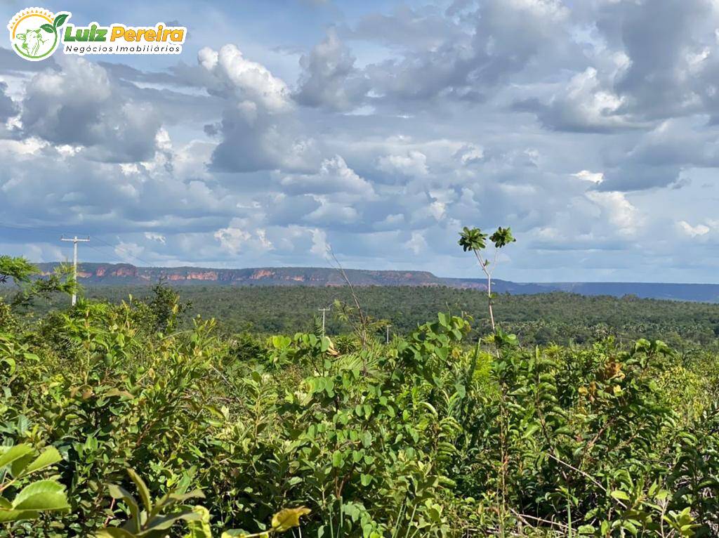 Fazenda à venda, 4780m² - Foto 17