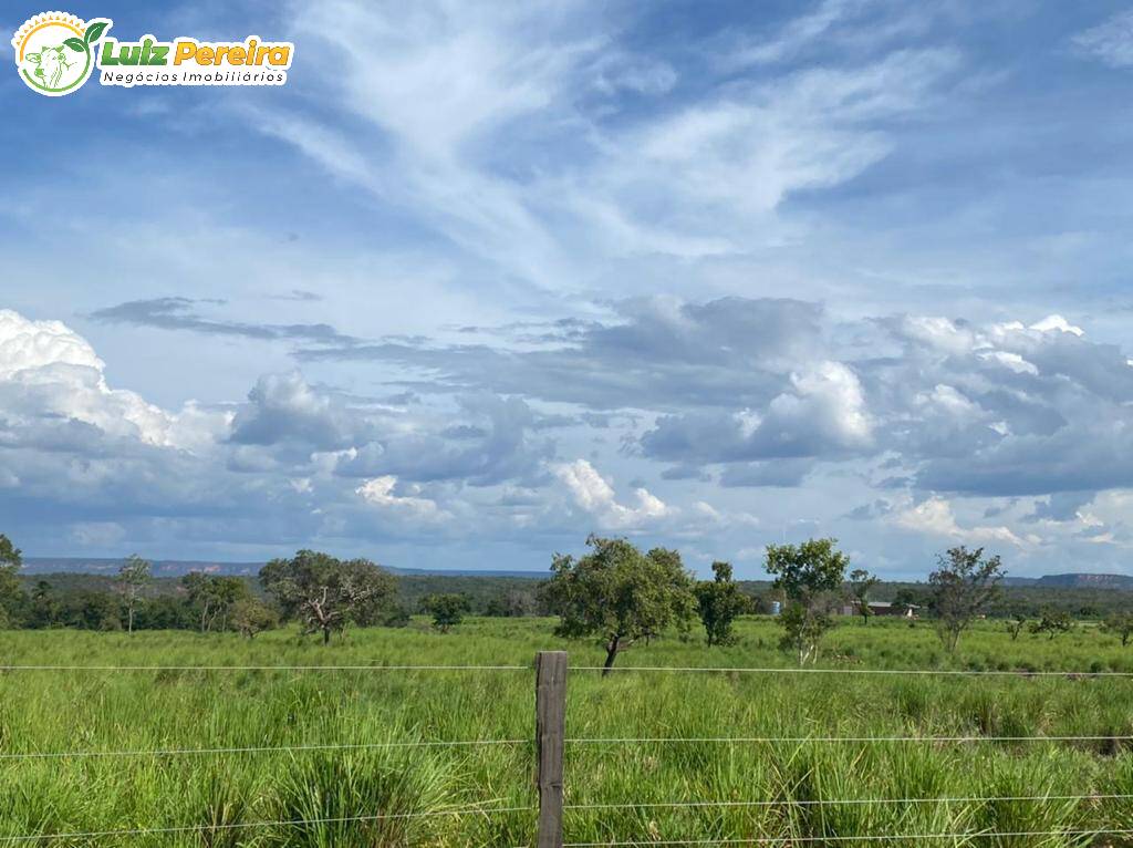 Fazenda à venda, 4780m² - Foto 9