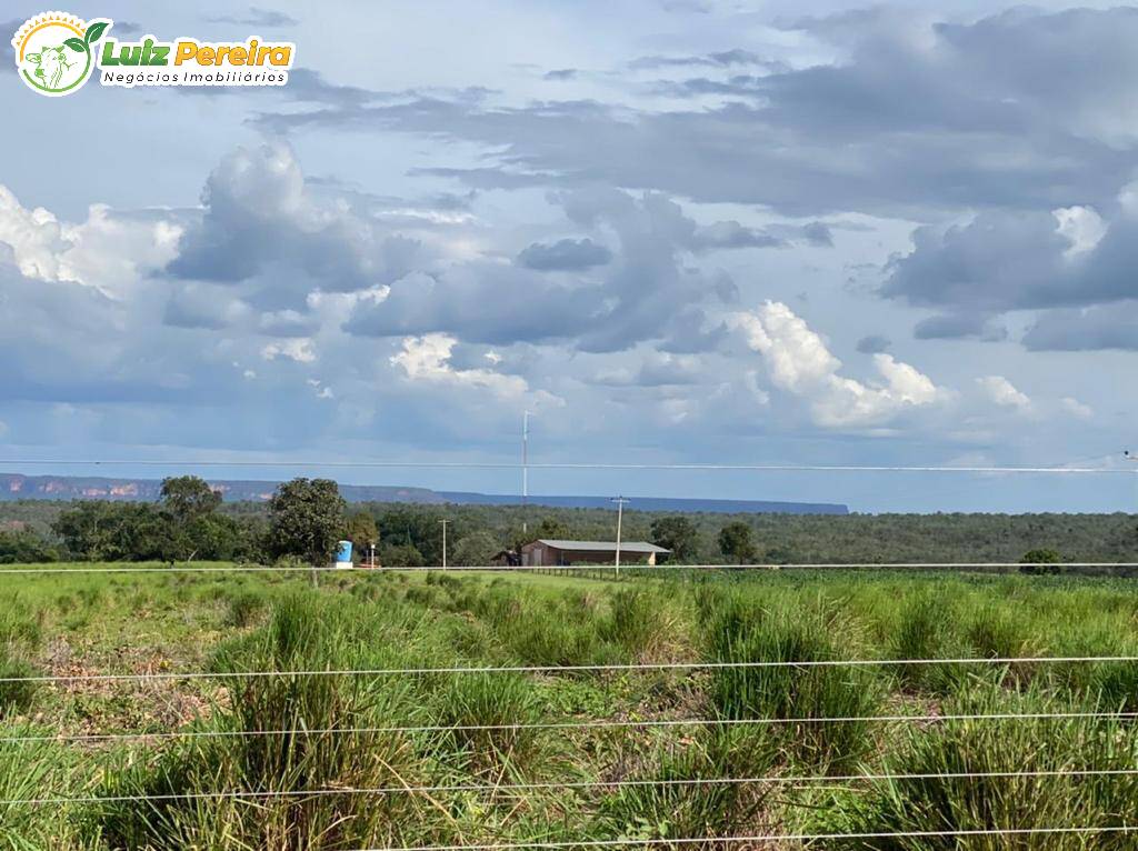 Fazenda à venda, 4780m² - Foto 11