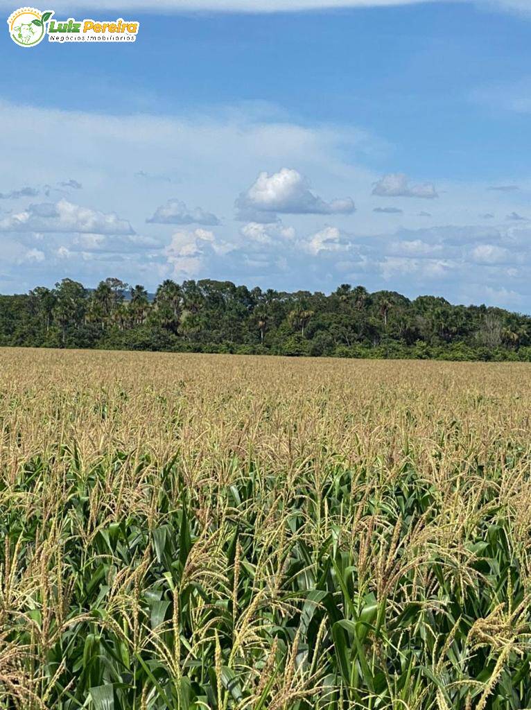 Fazenda à venda, 4780m² - Foto 12