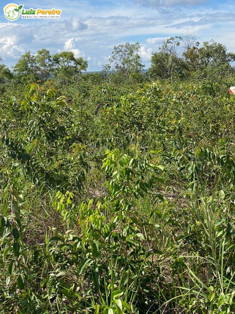 Fazenda à venda, 4780m² - Foto 13